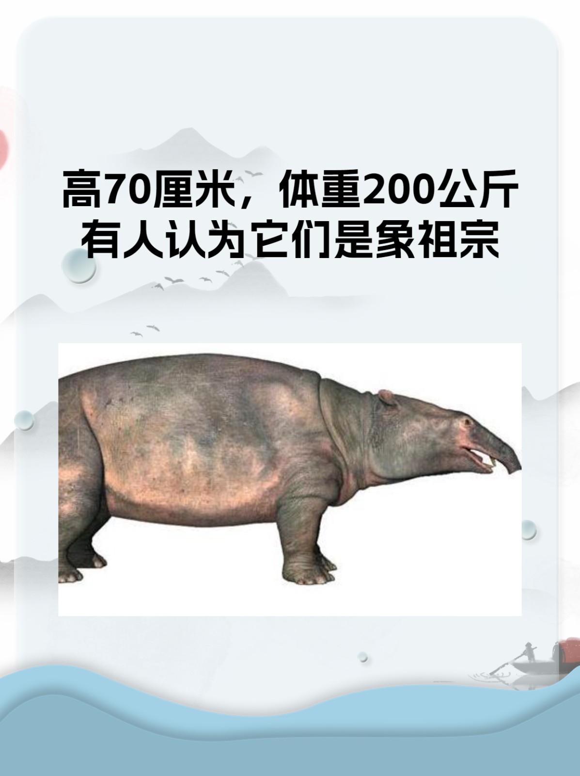 平均一头大象重多少吨