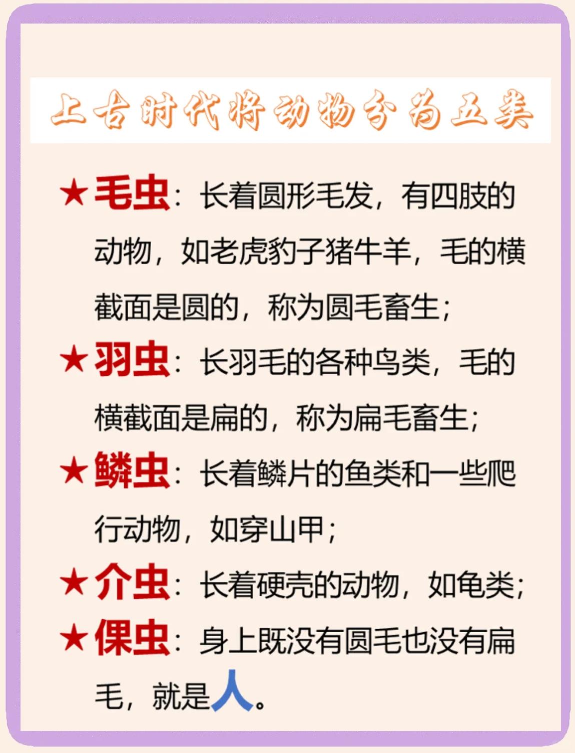 动物分为哪四大类